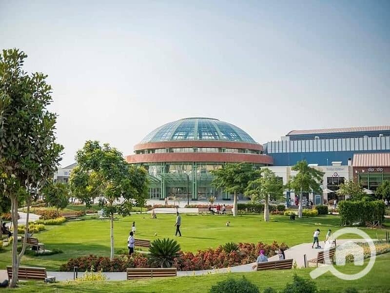 8 316424615_5734372593285764_4917198185680945830_n(1). jpg