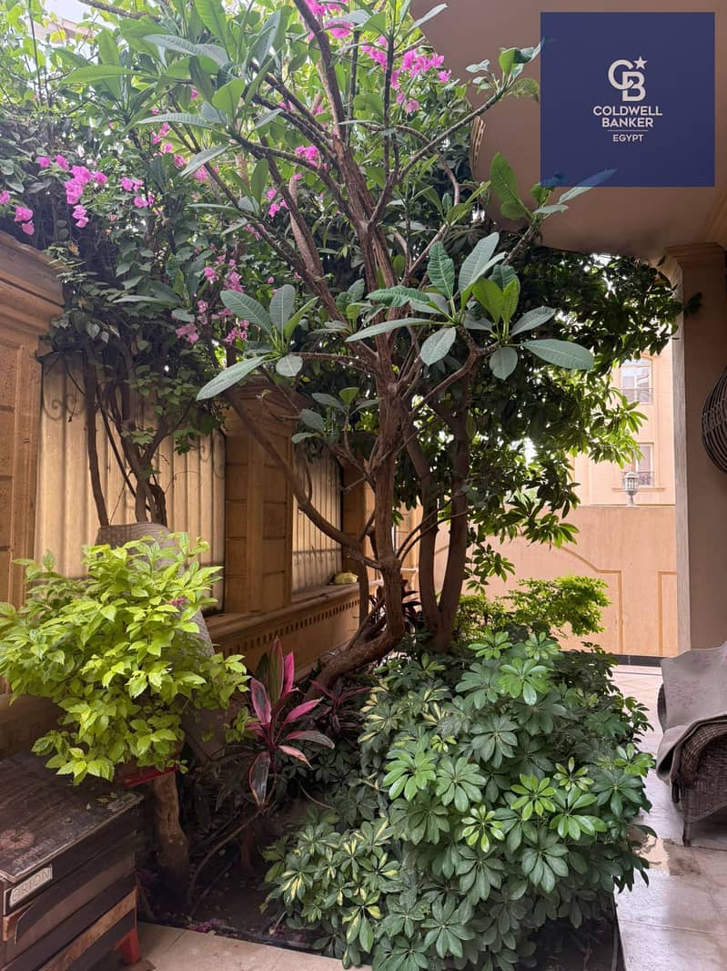 3 WhatsApp Image 2026-01-12 at 20.18. 10_eccbdf13. jpg