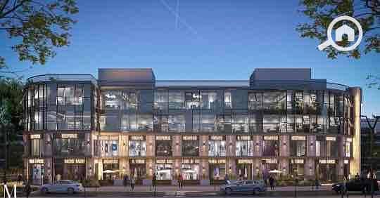 8 986778ed-19d9-4529-9723-73851d0ee70b. jpg