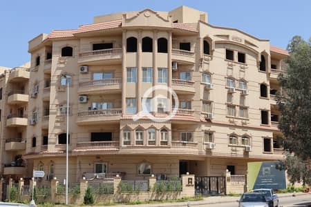 3 Bedroom Flat for Sale in New Cairo, Cairo - WhatsApp Image 2026-01-16 at 11.06. 33 PM (1). jpeg