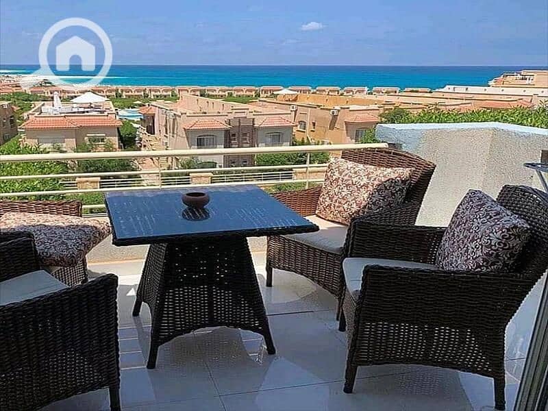 7 5e82f7bb-5173-4726-9377-4fba17f5f714. jpg