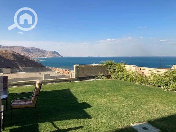 12 601854225_10162499516963425_3263812384380608853_n. jpg