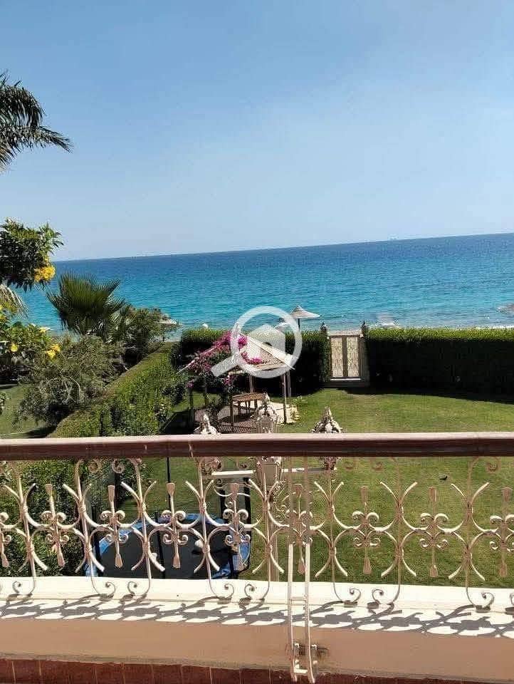 2 612651359_122163118904887457_5963615855080718557_n. jpg