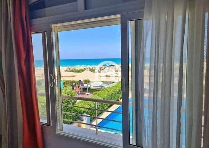 6 401238248_210871995375577_2529473332184336994_n. jpg