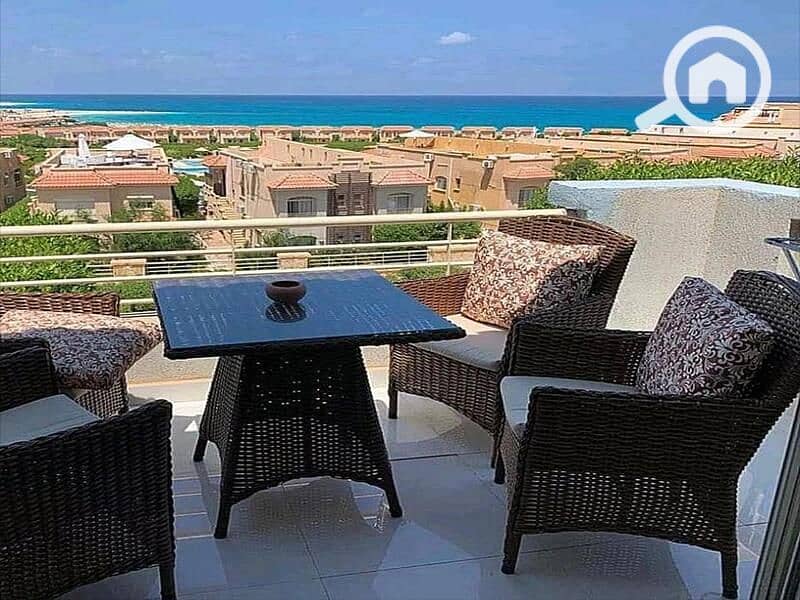 7 5e82f7bb-5173-4726-9377-4fba17f5f714. jpg