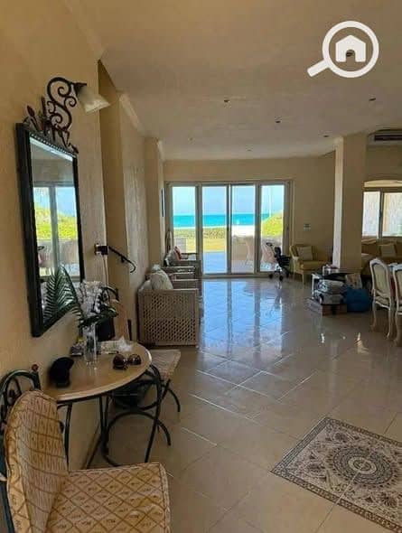 17 612117110_122163119036887457_8086194375784851855_n. jpg