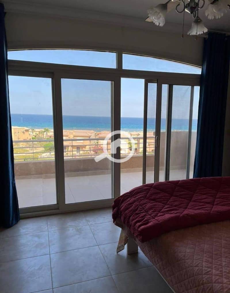 21 614065977_732535553251882_1838413299639766454_n. jpg