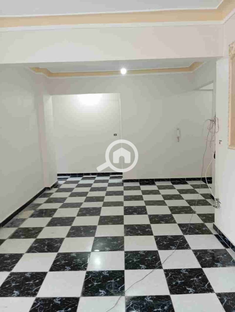 4 707d4de0-8c1a-4ad0-8e8c-edaaef8d9d4f-1_all_55428. jpg