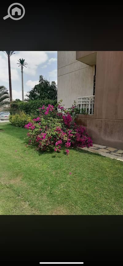 فلیٹ 2 غرفة نوم للايجار في مدينتي، القاهرة - IMG_9336. png