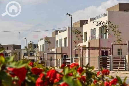 فیلا 7 غرف نوم للبيع في العامرية، الإسكندرية - WhatsApp Image 2026-01-11 at 11.38. 51 AM. jpg