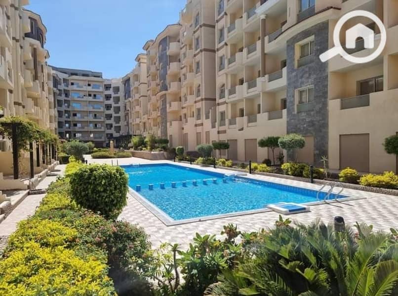 8 384208434_262711396741969_3758498783668470073_n. jpg