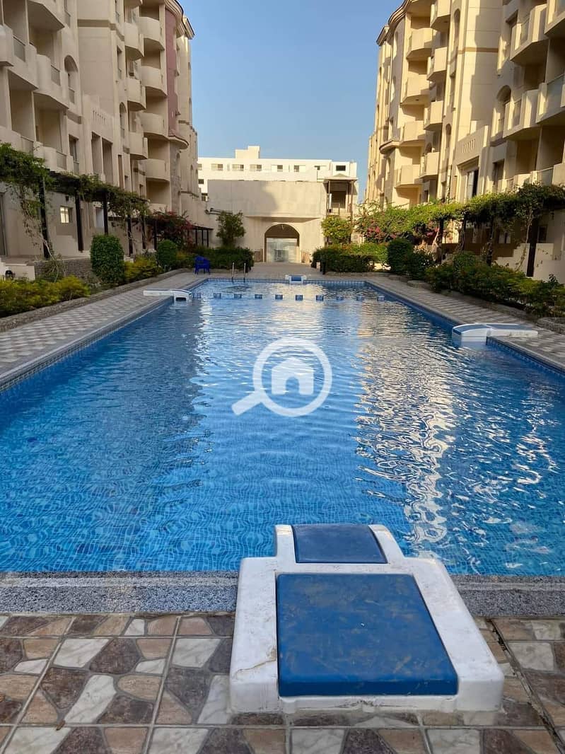 5 384106395_262711306741978_4533593164580484226_n. jpg