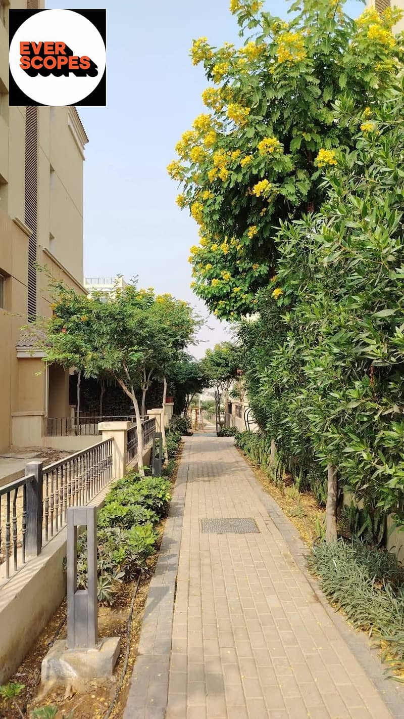 11 579676795_122152409636923090_801490989057322064_n. jpg