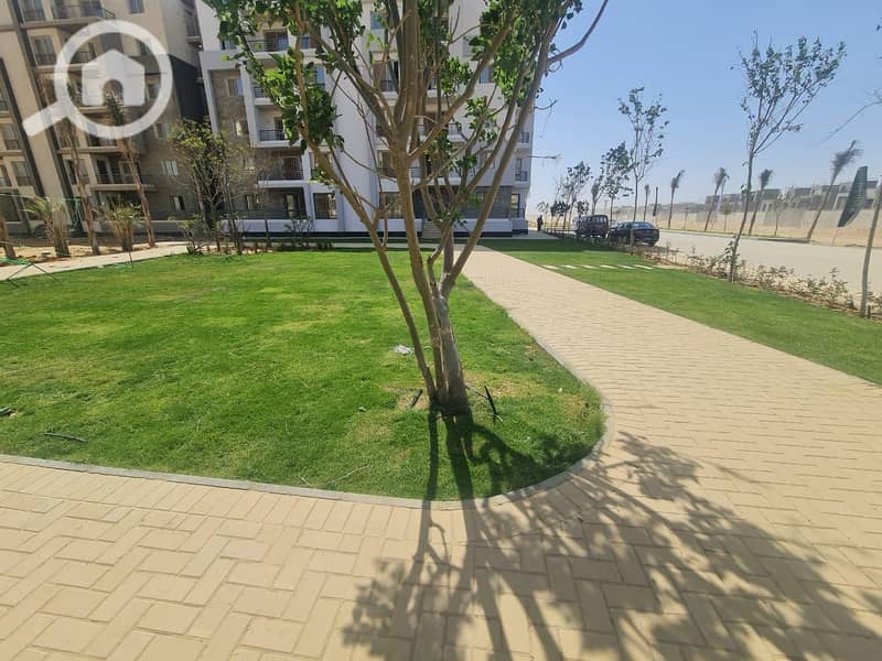 8 7439dfd4-d3c0-4e7b-99a8-358c7e6f884b. JPG