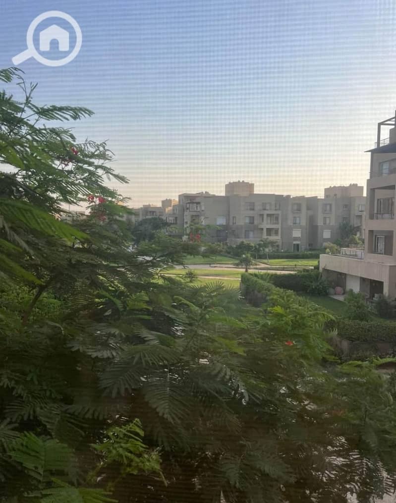 13 4b5f82ff-0d03-4247-a8c9-2618056dd8f3. jpeg