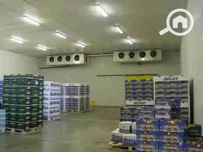 Factory for Rent in New Cairo, Cairo - 1000245199. jpg