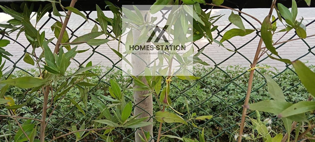 3 WhatsApp Image 2026-01-10 at 1.36. 47 PM. jpeg