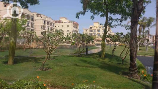 3 Bedroom Apartment for Sale in Sheikh Zayed, Giza - 1000789845. jpg