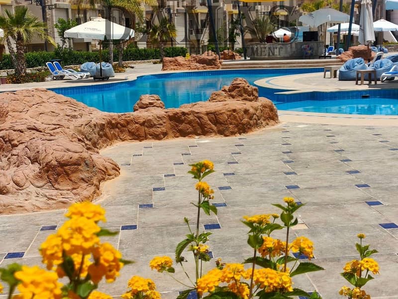 2 WhatsApp Image 2026-01-17 at 11.40. 02 (1). jpeg