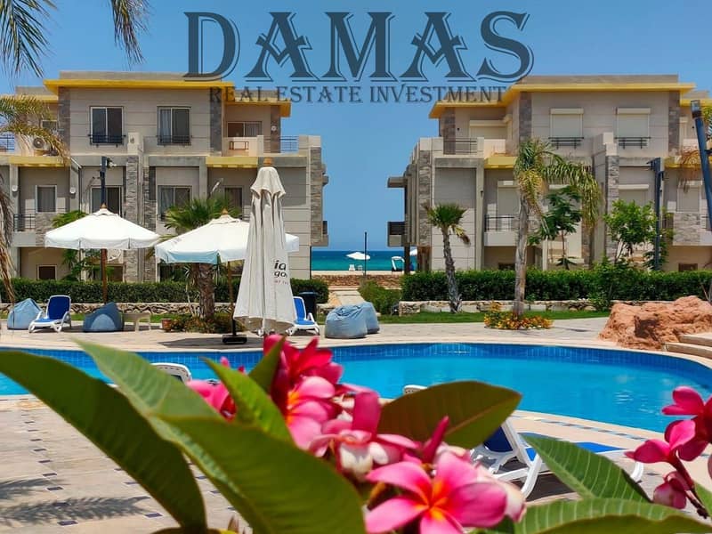 7 WhatsApp Image 2026-01-17 at 11.40. 00 (2). jpeg