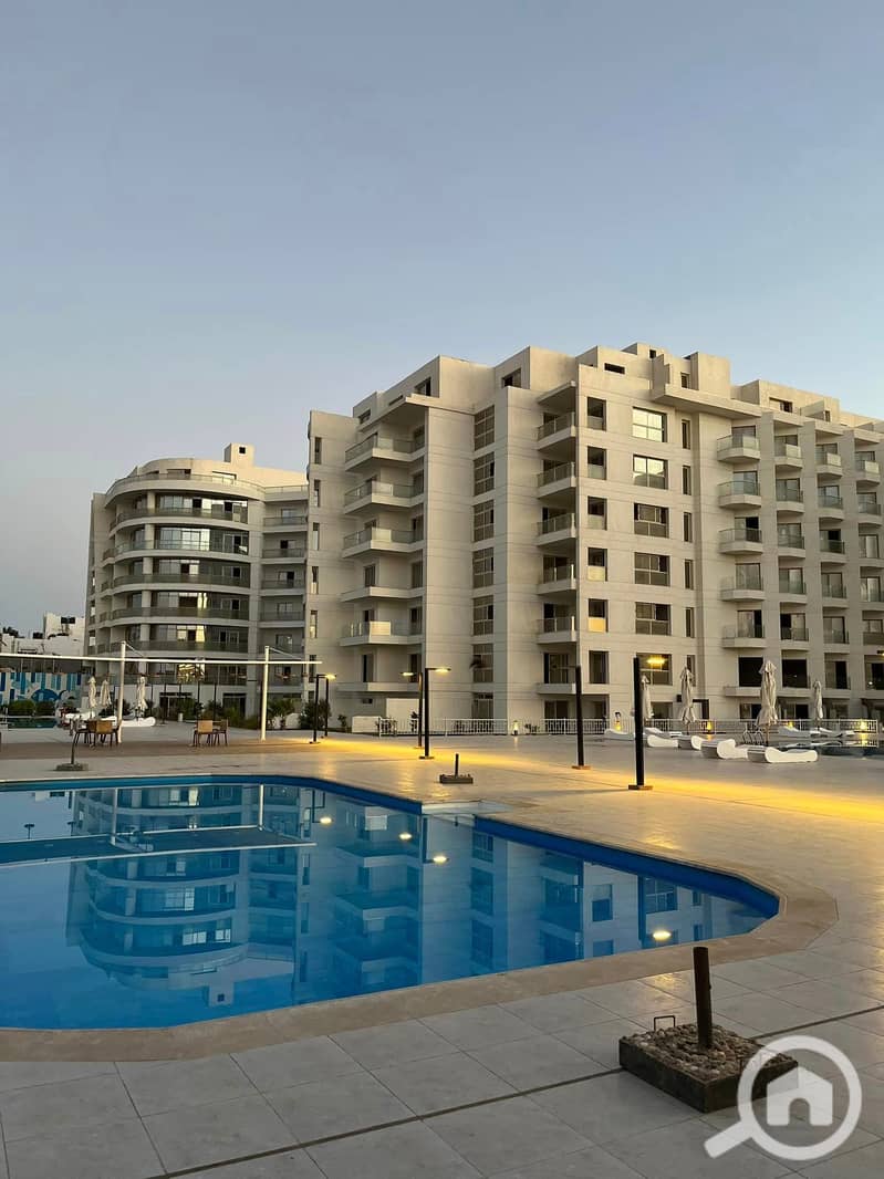 7 358571166_236444299285885_8533112972746427957_n. jpg