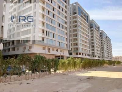 فلیٹ 1 غرفة نوم للبيع في مدينة نصر، القاهرة - WhatsApp Image 2026-01-17 at 11.37. 05 AM (2). jpeg