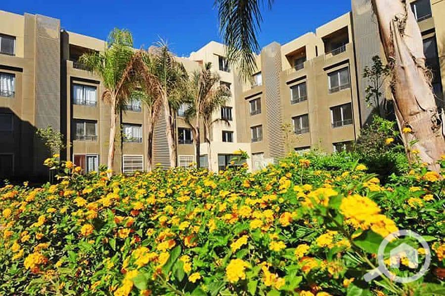 5 IMG-20241017-WA0008_900x600. jpg