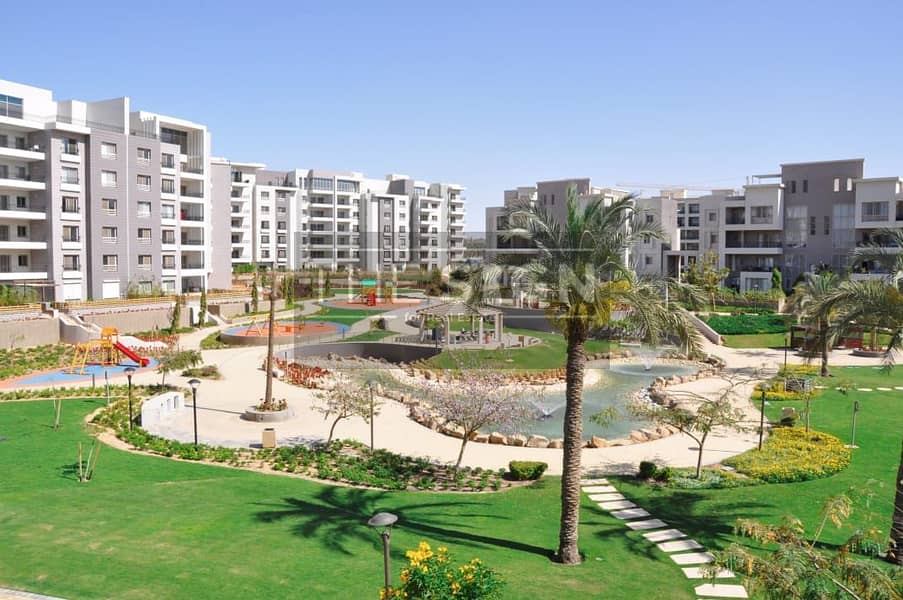 11 WhatsApp Image 2026-01-17 at 11.58. 10 AM (2). jpeg