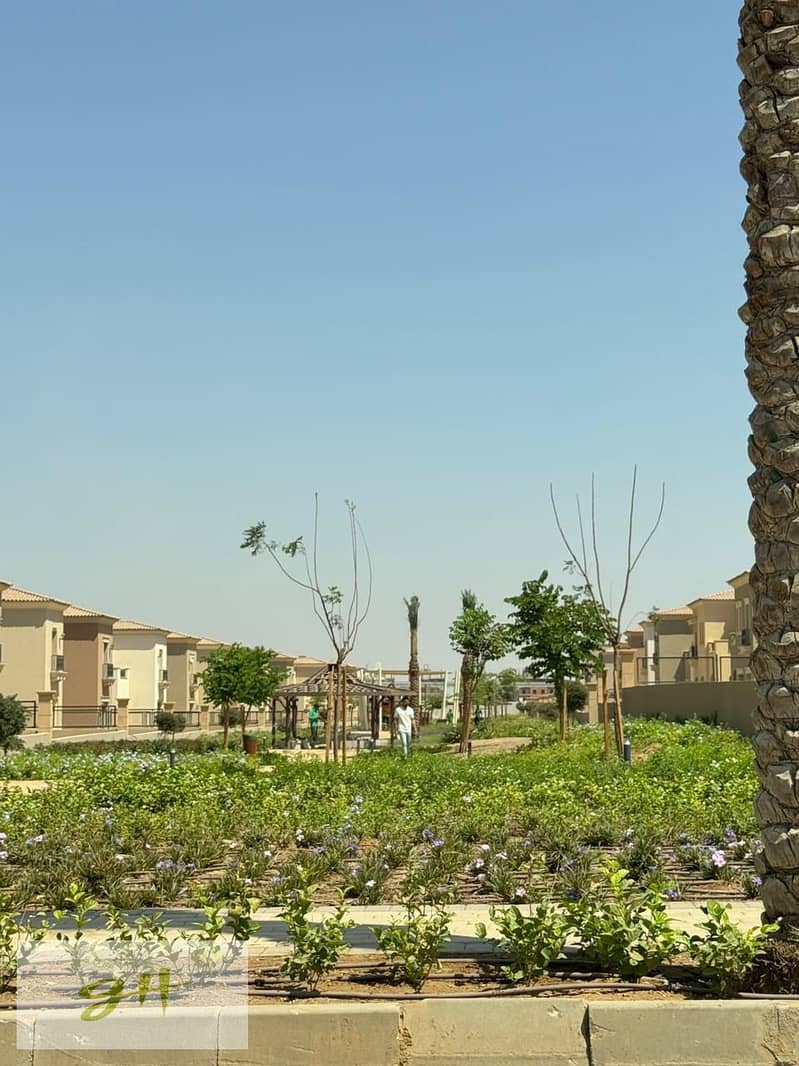 12 615400639_122263174154050752_839245540284248855_n. jpg