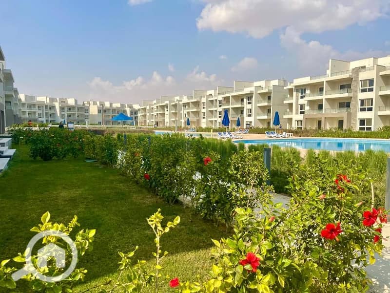 5 8650de95-0906-4995-89ac-0a229045e824. jpg