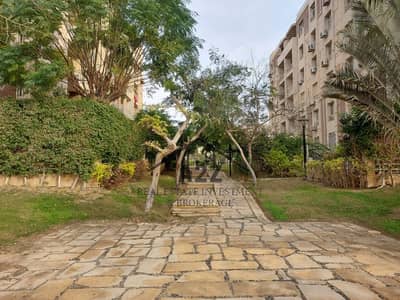 2 Bedroom Apartment for Sale in Madinaty, Cairo - WhatsApp Image 2026-01-16 at 7.28. 26 PM. jpeg