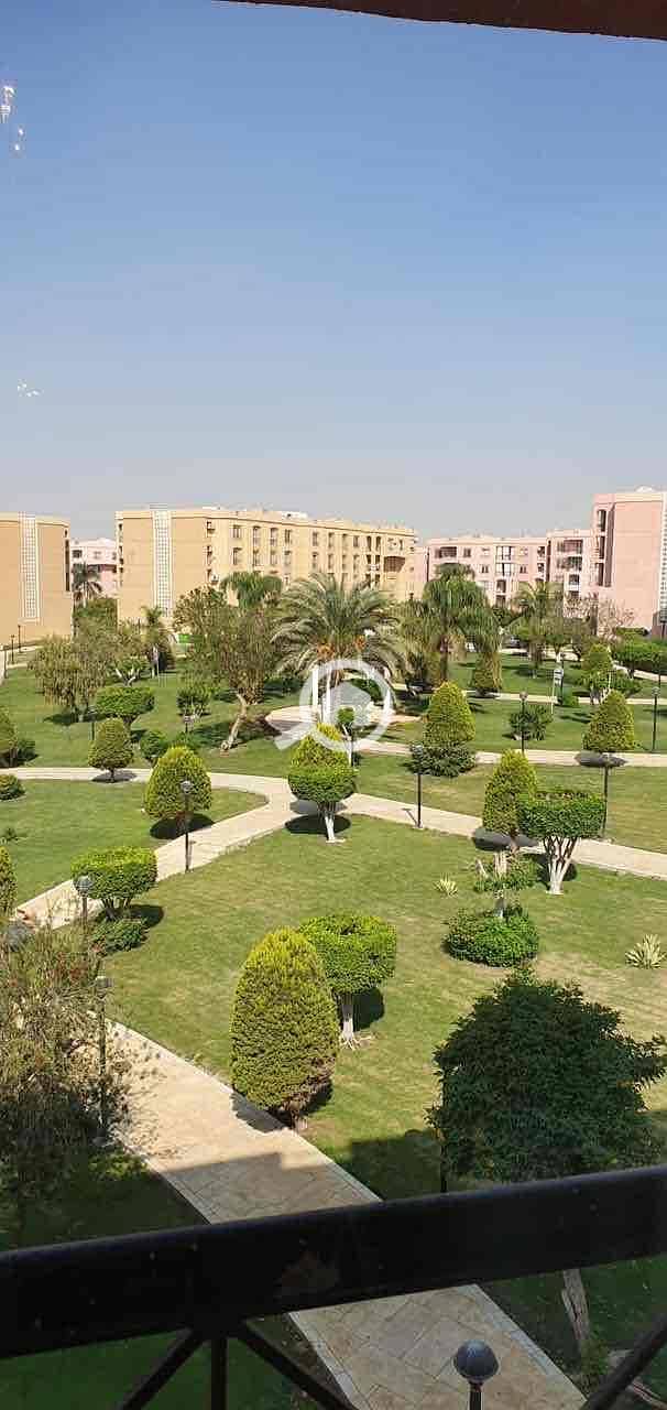 16 52ea14b1-4b05-43a0-b3f7-52bc412f994c. jpg