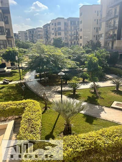 3 Bedroom Flat for Sale in Madinaty, Cairo - WhatsApp Image 2026-01-17 at 1.58. 37 PM. jpeg