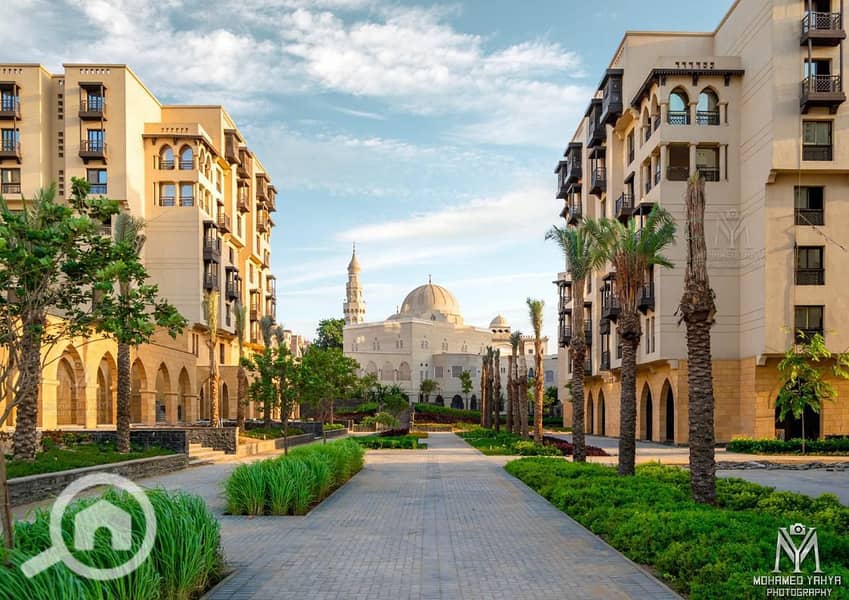 3 43f7b3e4-1527-4547-af05-293c50b7fa6d. jpg