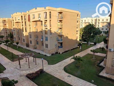 فلیٹ 3 غرف نوم للايجار في القاهرة الجديدة، القاهرة - 1000784381. jpg