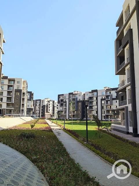 8 95816241-5a6b-4984-94bd-444516806dcd. jpg