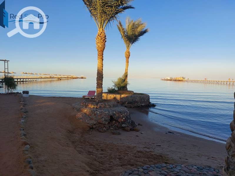 11 20231121_162115. jpg