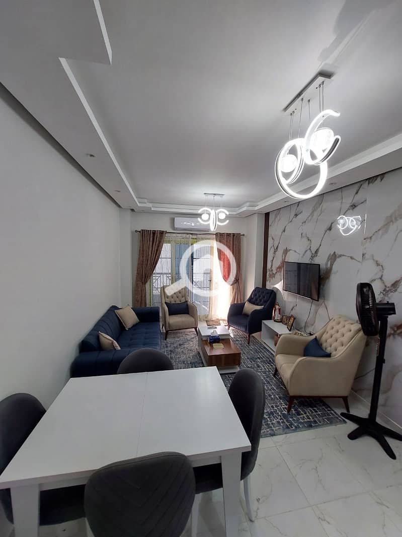 11 IMG_20240203_115608_753. jpg