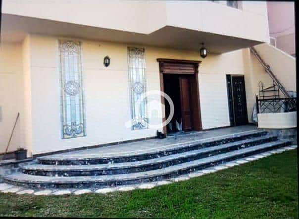 11 40e2c019-dc53-4cc3-9d8d-45bfdd48ca06. jpeg