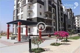 13 WhatsApp Image 2026-01-17 at 3.21. 47 PM. jpeg