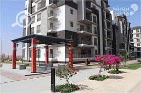 13 WhatsApp Image 2026-01-17 at 3.21. 47 PM. jpeg