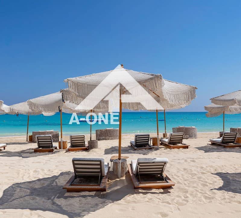 3 1daa262a-fa0d-4191-8390-c7d088fed5cc. jpg