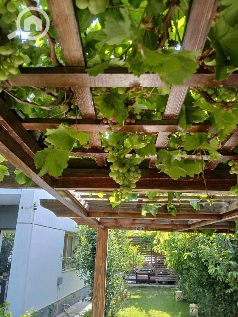 15 958137c1-7292-43dc-8afc-efe99e9fe001. jpg