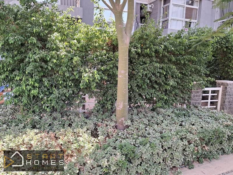 3 WhatsApp Image 2026-01-17 at 4.21. 16 PM. jpeg