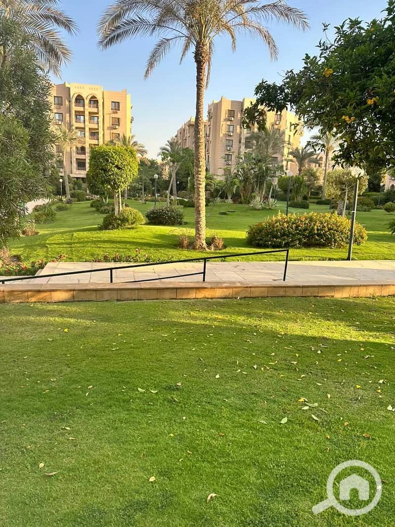 3 4b8fcb98-af7c-428a-8463-ad745df63bc3. jpeg