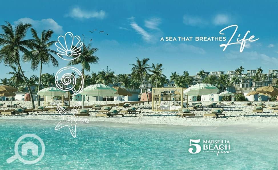 5 WhatsApp Image 2025-11-08 at 2.31. 26 PM (1). jpeg