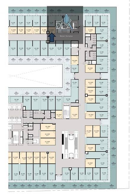 9 لقطة الشاشة 2026-01-13 163756. png