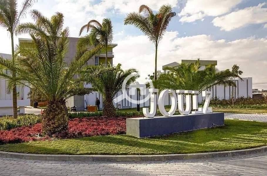 3 WhatsApp Image 2025-02-13 at 14.32. 33_61a76f5d. jpg