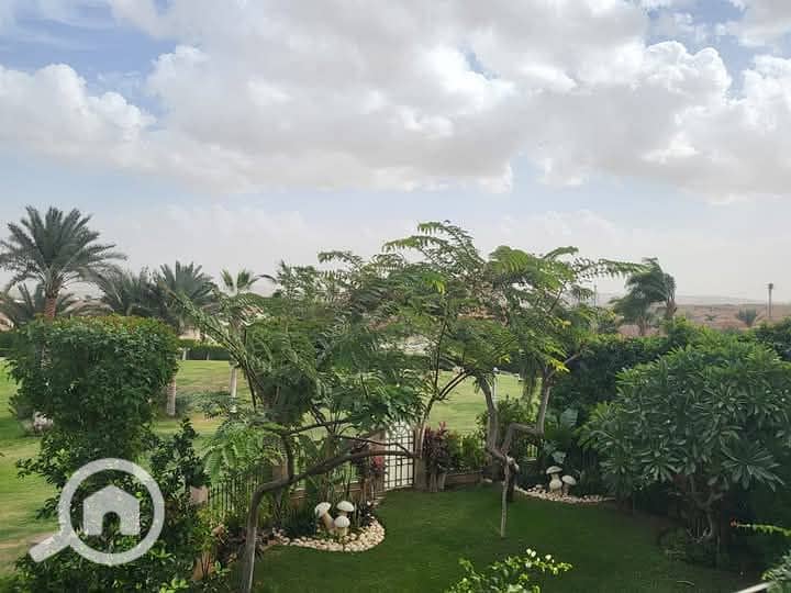 7 FB_IMG_1742467046135. jpg