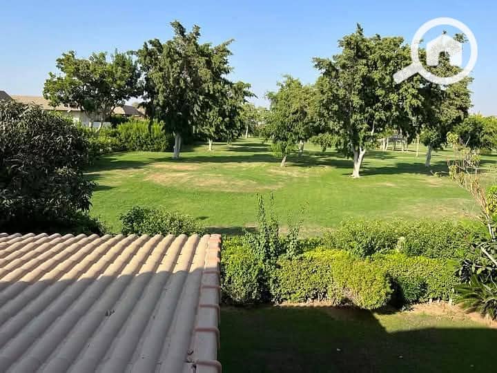 9 FB_IMG_1742467629046. jpg